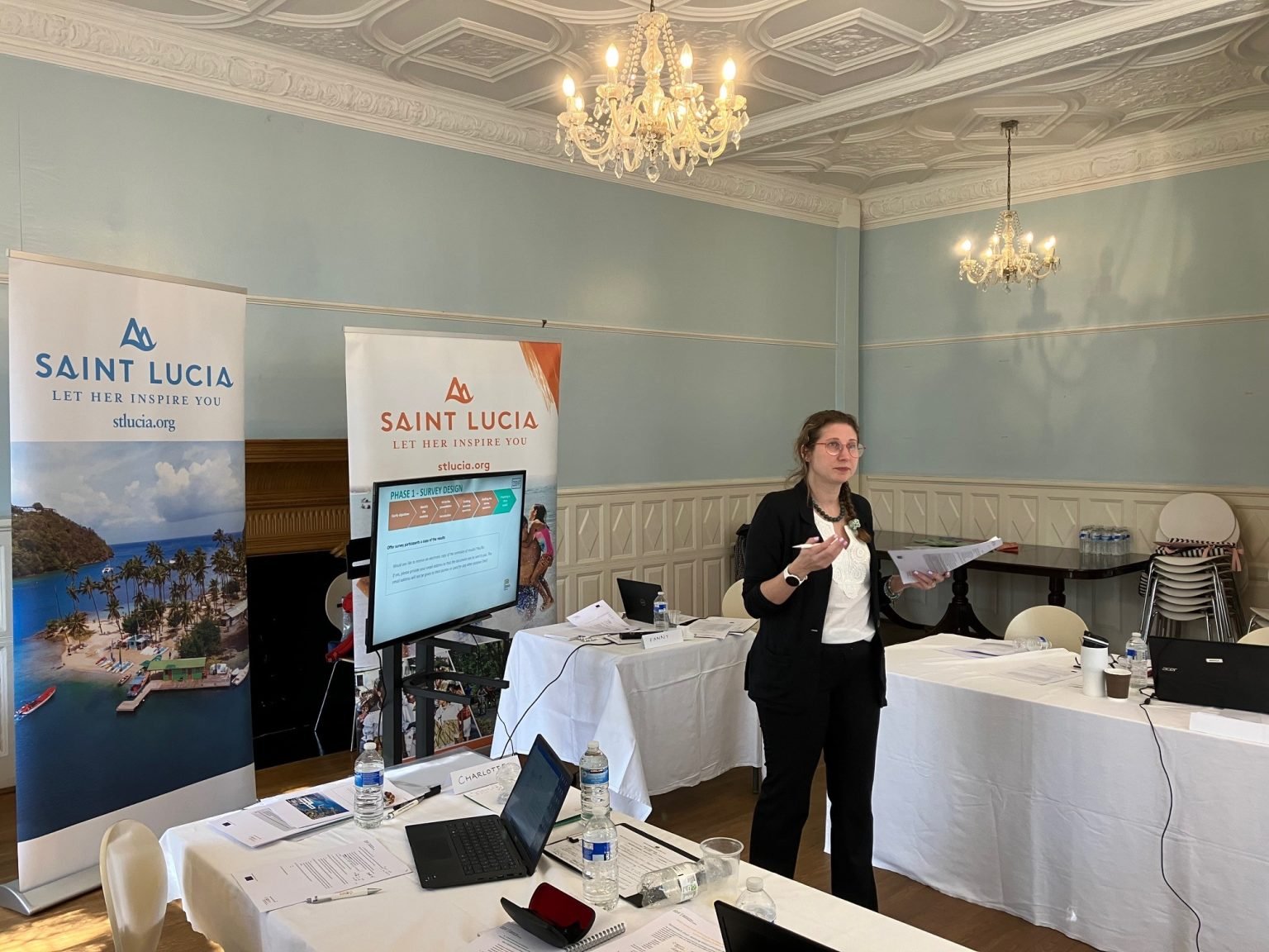 Taller de mapeo de competencias de la diáspora de Santa Lucía — Legal VenExter